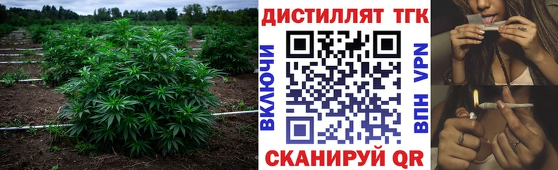 ТГК Wax  Вязьма 
